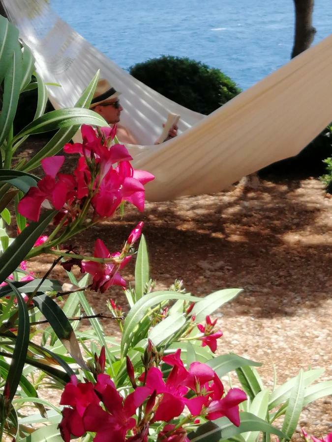 Villa Pod Borom Sveta Nedelja  Εξωτερικό φωτογραφία